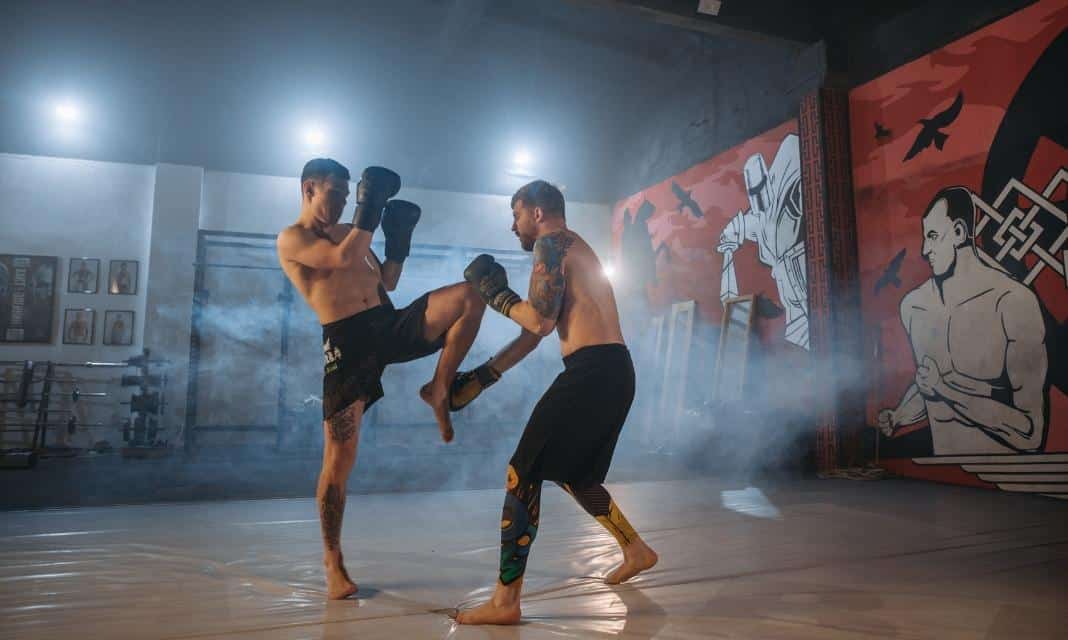 MMA Bydgoszcz