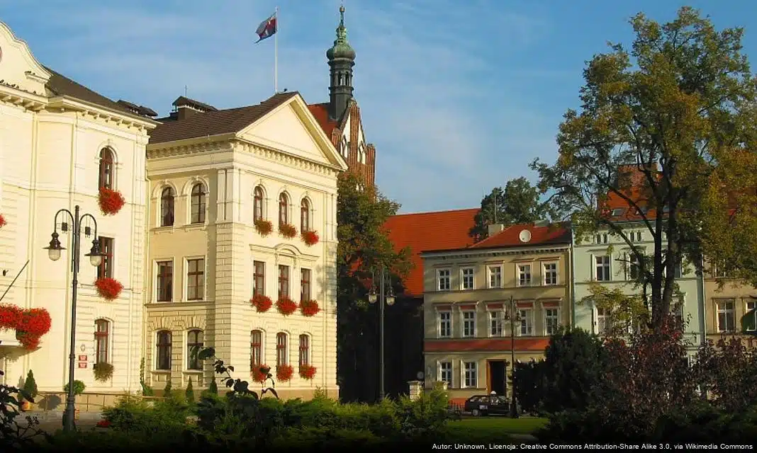 Zimowe EkoDeko w Bibliotece u Bełzy – Zapisz się na kreatywne warsztaty