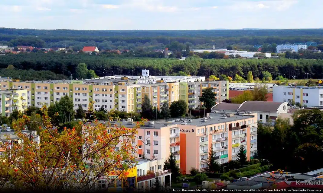 VIII Międzynarodowa Wystawa Psów Rasowych w Bydgoszczy