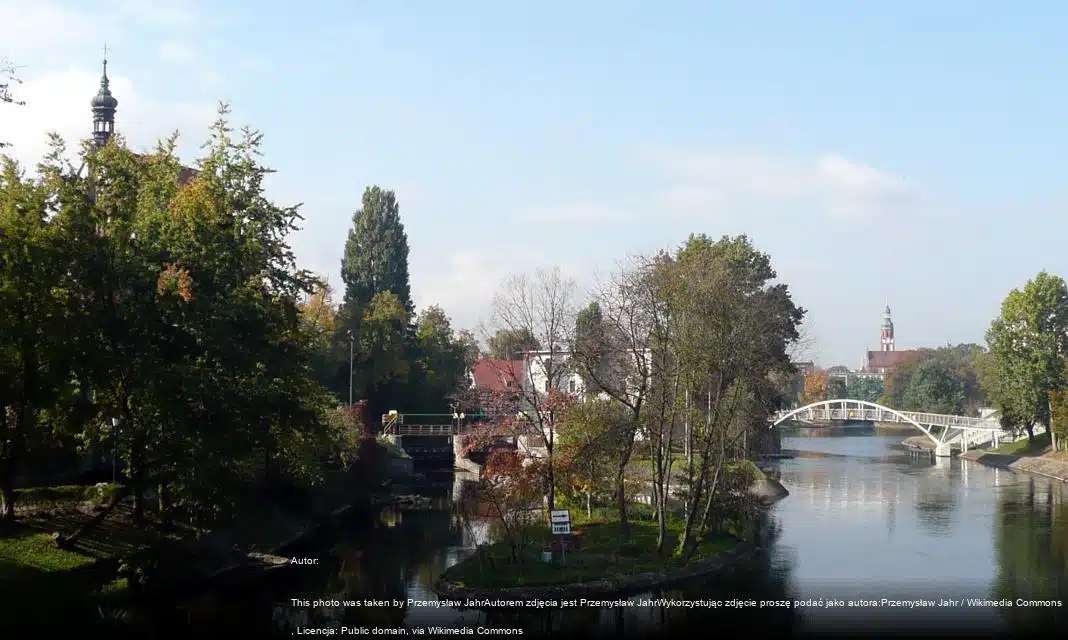 Walentynki w Bydgoszczy – Wydarzenia i Atrakcje na 14 Lutego