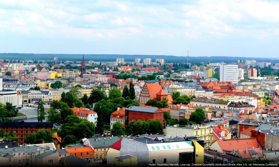 Jak ekologicznie pozbyć się choinki po świętach w Bydgoszczy?