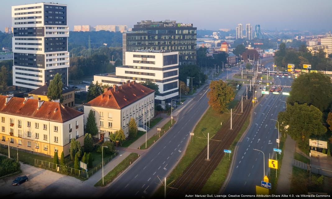 Czyścimy domy ptaków i nietoperzy w Bydgoszczy