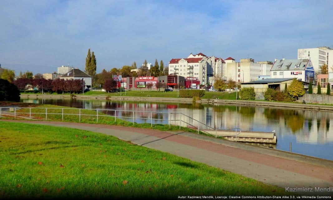 Bydgoszcz: Wspólna inicjatywa na rzecz czystości – w jaki sposób możemy przyczynić się do poprawy?