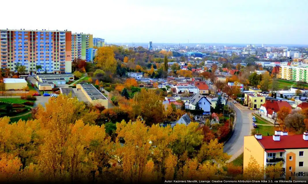 Konkurs na prowadzenie punktu informacyjno-konsultacyjnego dla cudzoziemców w Bydgoszczy